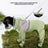 Small dog in a yellow pineapple full body raincoat
