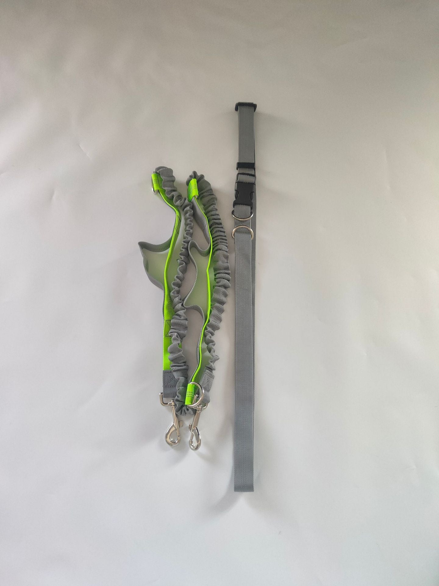 Extendable reflective nylon lead for dogs and cats, close-up detail view