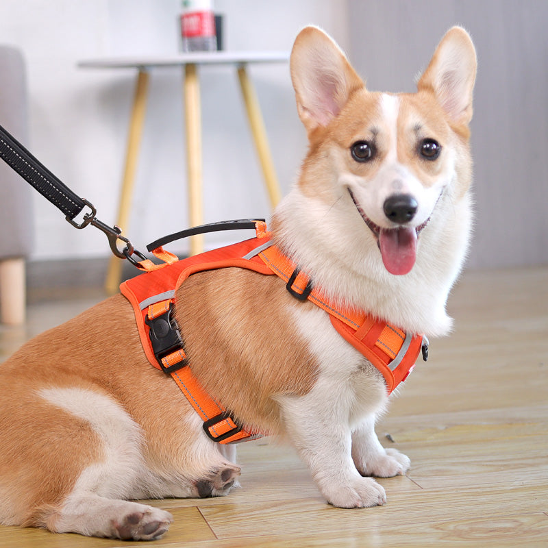 Reflective nylon vest dog harness, main product photo