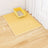 Anti-Slip Double Layer Cat Litter Control Mat