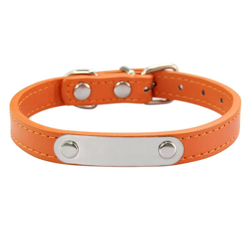 PU leather pet collar with ID tag and bell, in use with a pet