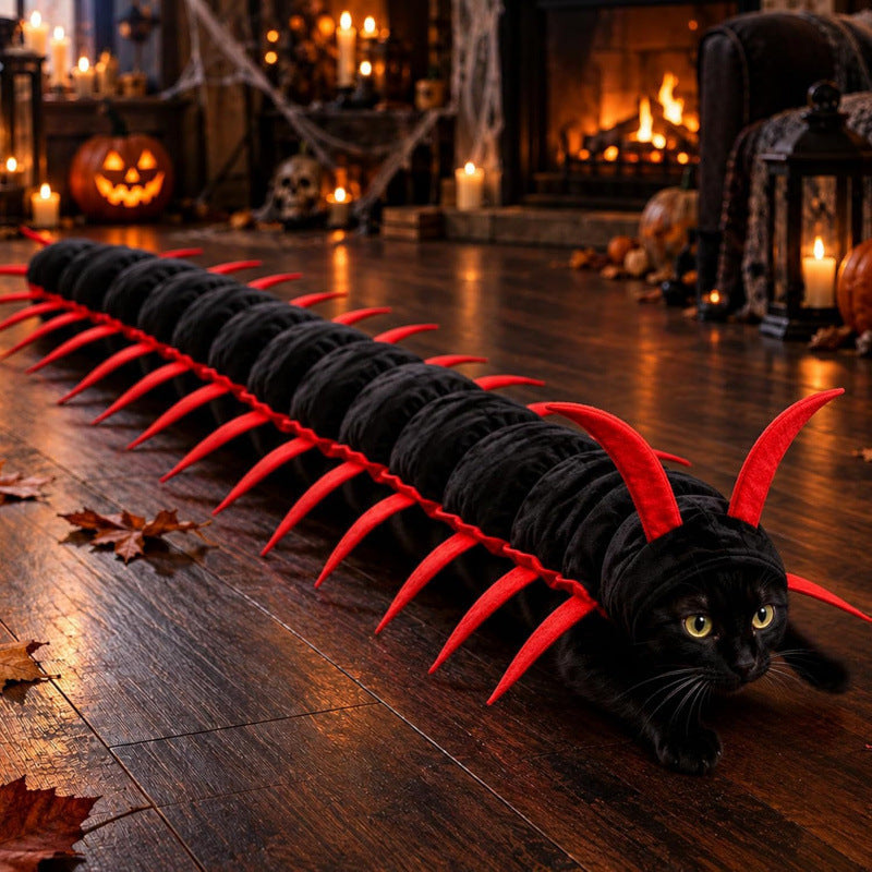 Cat wearing a long red embroidered centipede costume