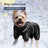 Fleece lined four-leg padded dog coat in Black, front view