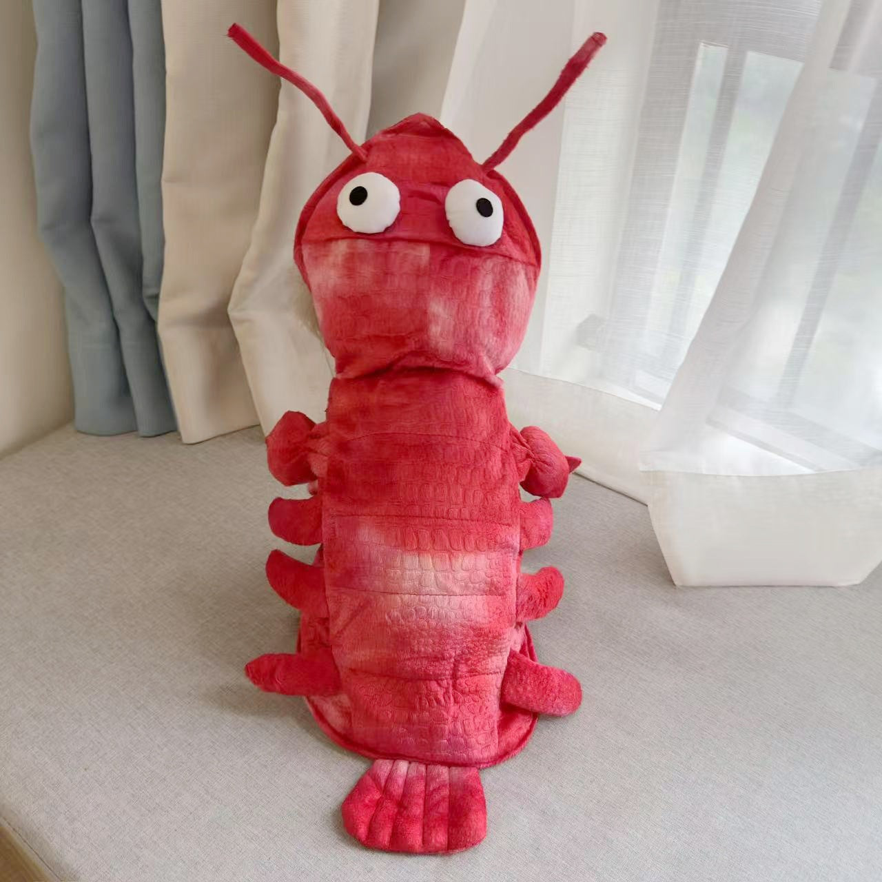 Cat dressed in a red tie dye lobster costume