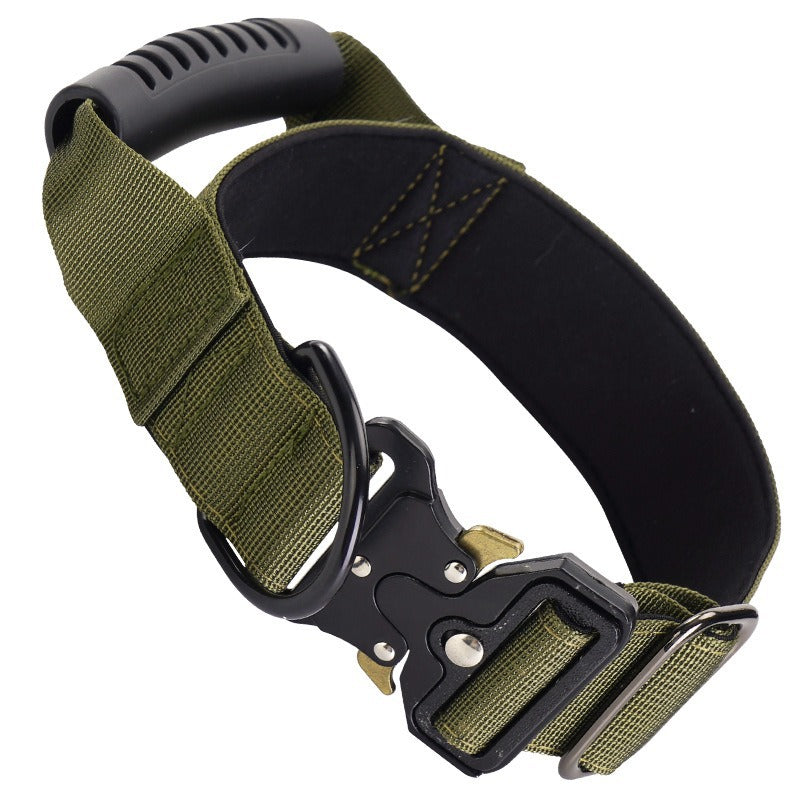 Adjustable nylon dog collar, ideal for everyday use