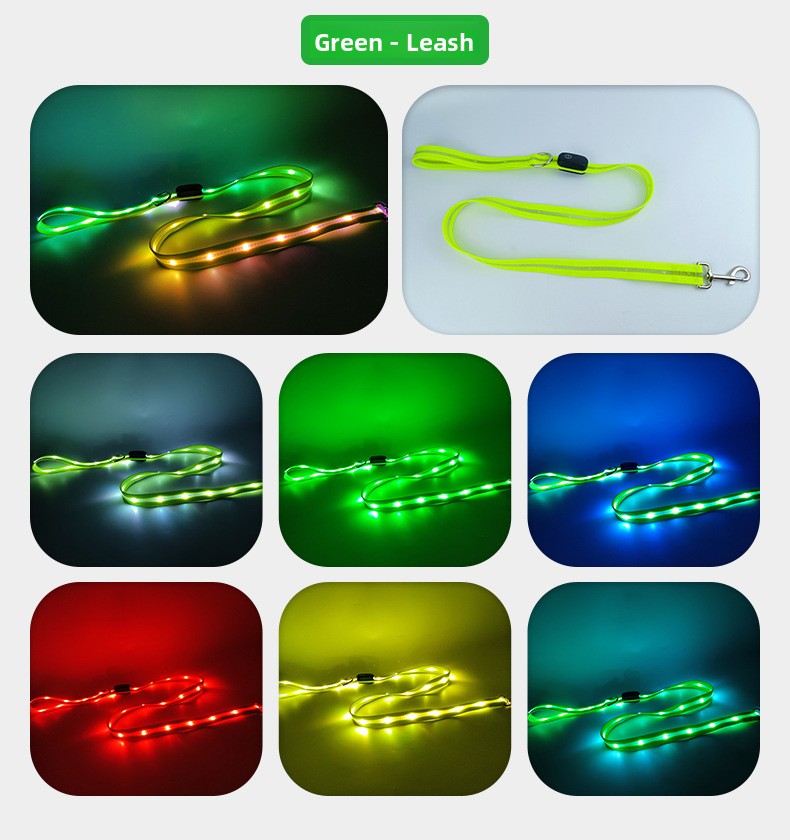 USB rechargeable LED dog collar and lead in Orange Collar, in a home setting