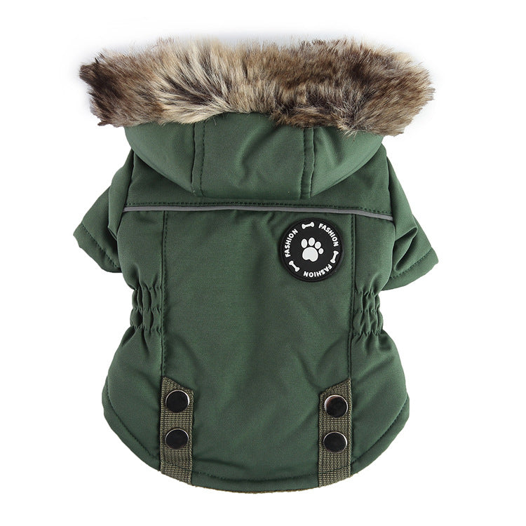 Padded dog chest jacket with zip and reflective straps, in use with a pet