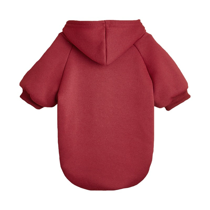 Classic hooded jumper for dogs and cats in Royal Blue, in a home setting