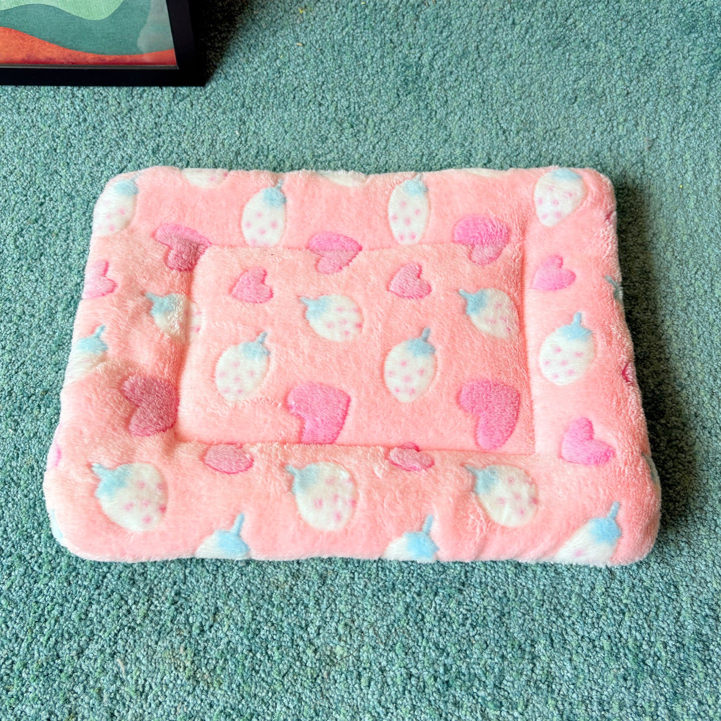 Plush flannel pet blanket mat with cute print, photo 12 of 55