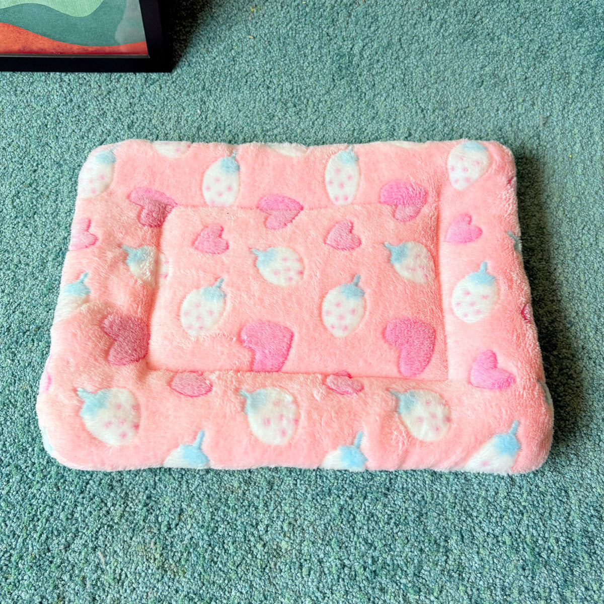 Plush flannel pet blanket mat with cute print, photo 12 of 55