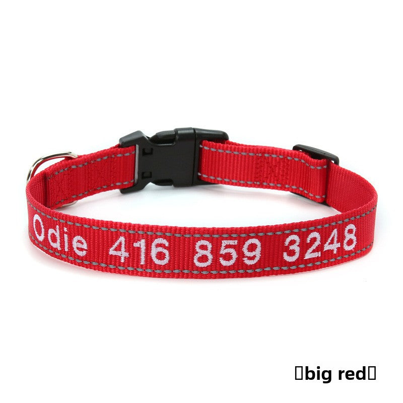 Reflective nylon dog collar in Orange, in a home setting
