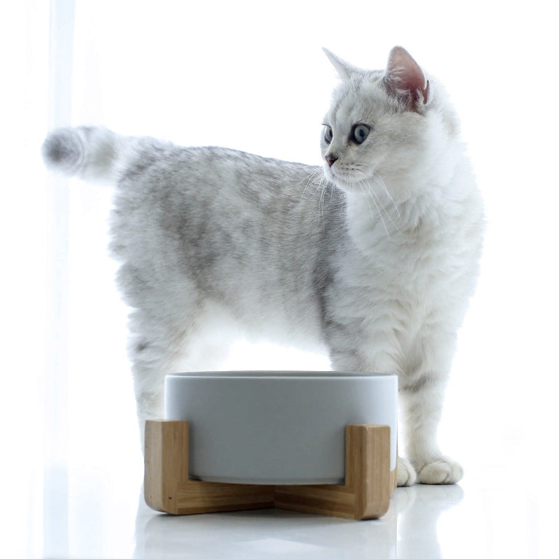 Ceramic cat bowl on a raised wooden stand in white
