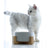 Ceramic cat bowl on a raised wooden stand in white