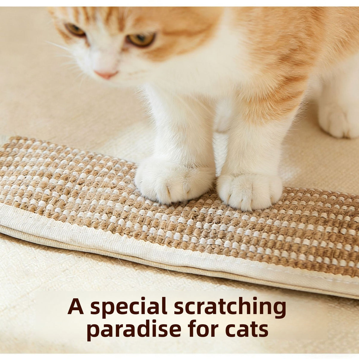 Catnip scratching pillow for cats in three sizes - photo 2