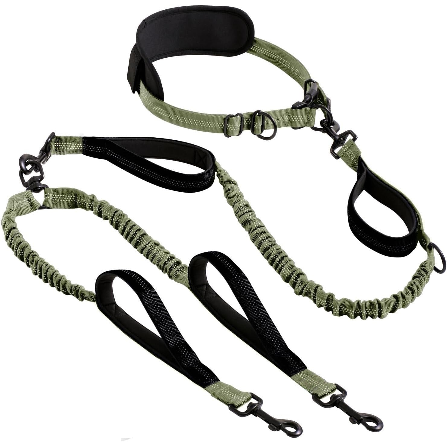 Hands-free double dog lead with bungee buffer, ideal for everyday use
