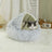 Gradient grey semi-enclosed shell cat bed in short velvet, photo 4