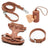 Waterproof PVC harness, lead and collar set in 10 colour options