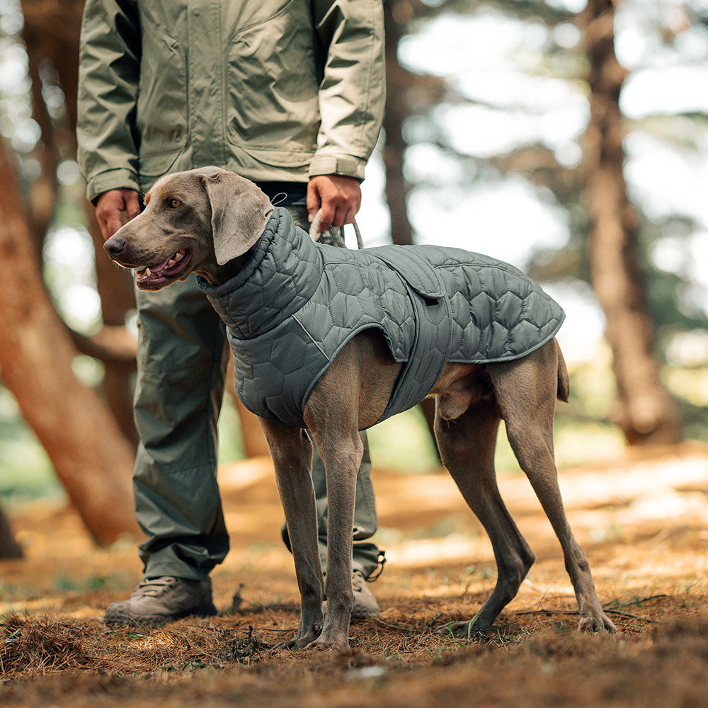 Thick water-repellent dog jacket with reflective trim in Grey, front view