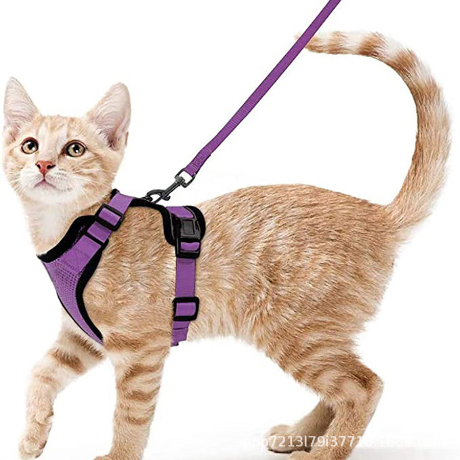 Mesh pet harness sets shown in eleven colours