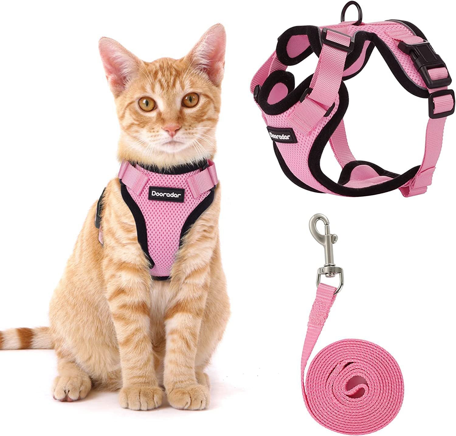 Cat wearing a soft polyester vest harness in the garden