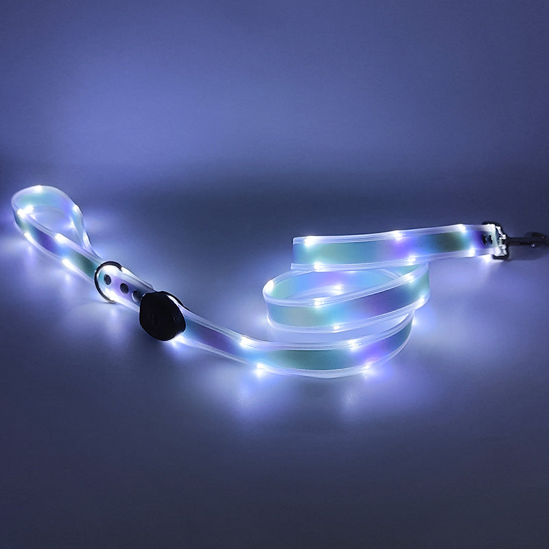 USB rechargeable LED dog collar and lead in Yellow Collar and Lead Set, side view