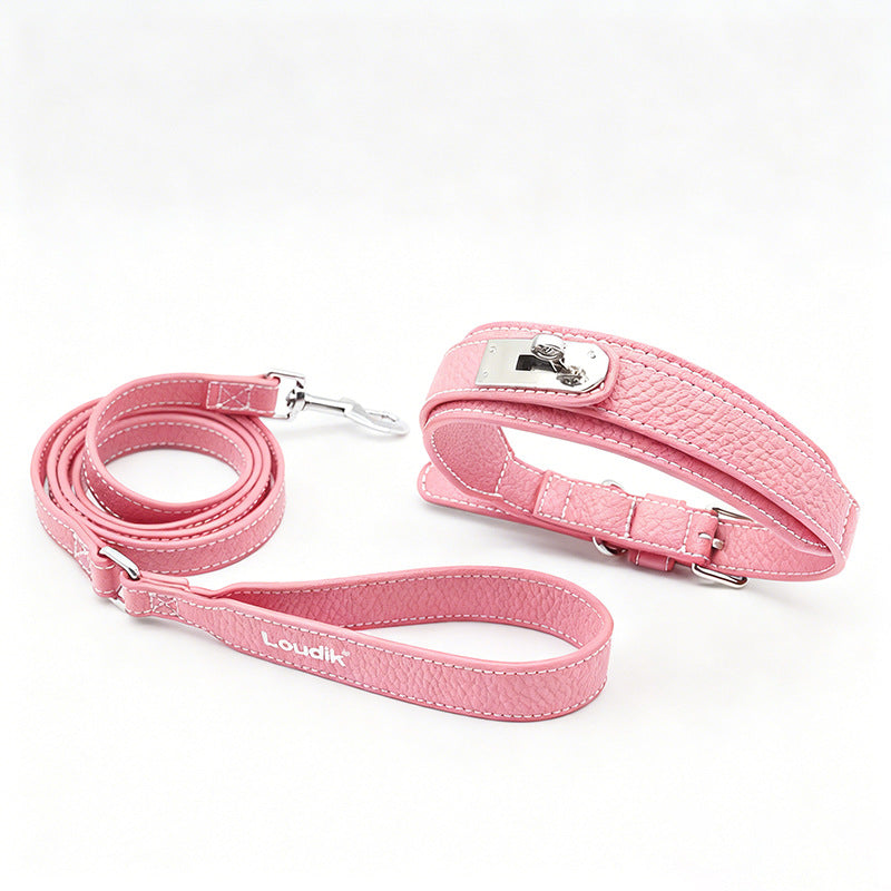 Matching dog collar, lead and poo bag holder in black and pink