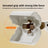 Dog waste container
