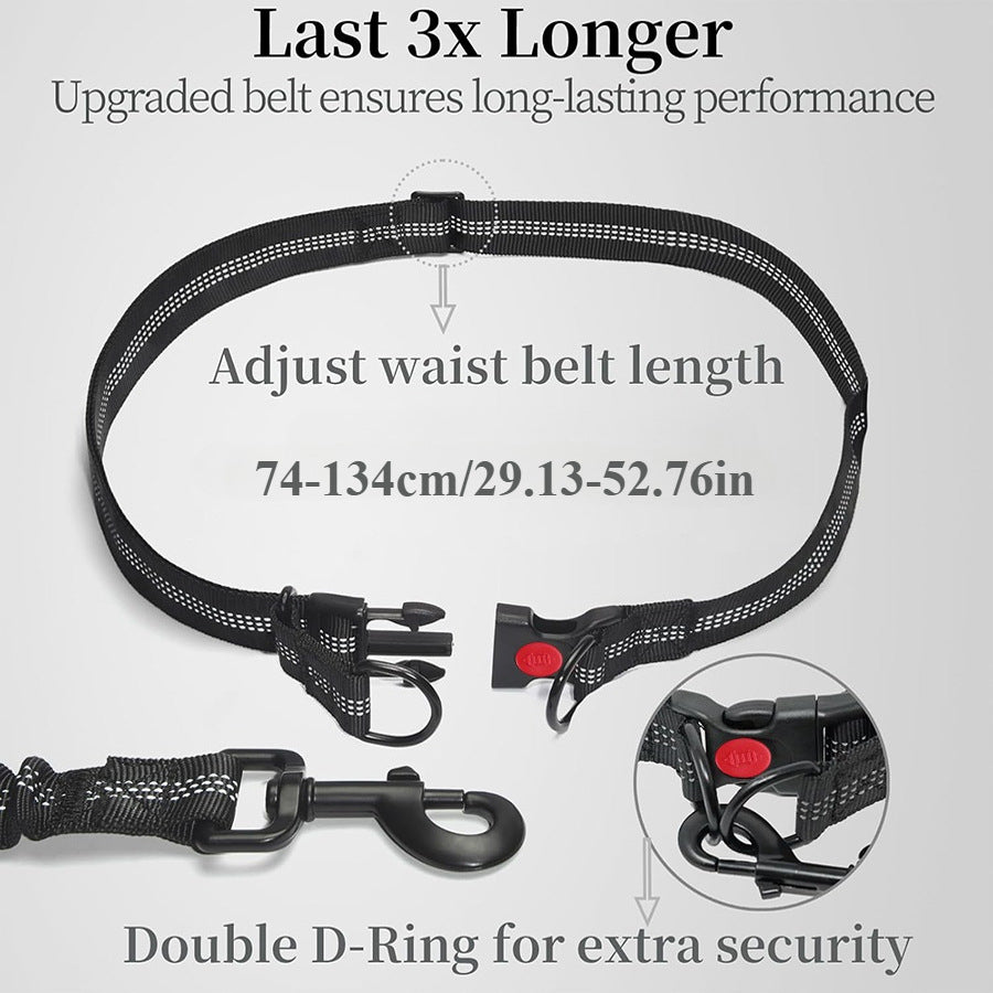 Reflective nylon bungee lead with two handles in sky blue