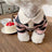 Striped dog t shirt and vest, available in 7 styles, image 22
