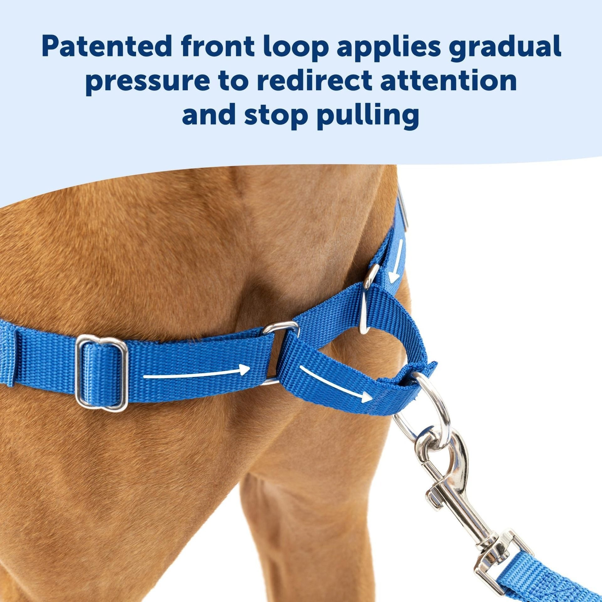 Adjustable no-pull nylon dog harness vest in bright colours, ideal for everyday use