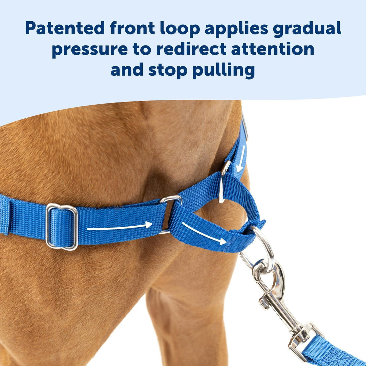 Adjustable no-pull nylon dog harness vest in bright colours, ideal for everyday use