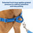 Adjustable no-pull nylon dog harness vest in bright colours, ideal for everyday use
