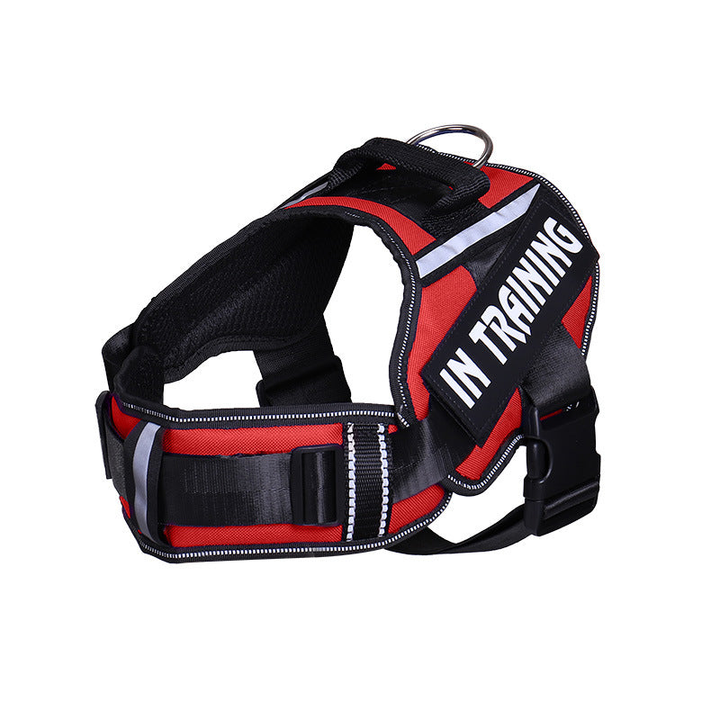 Reflective air mesh dog harness, available from Pet Royale UK