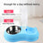 Stainless Steel Pet Food and Water Bowl