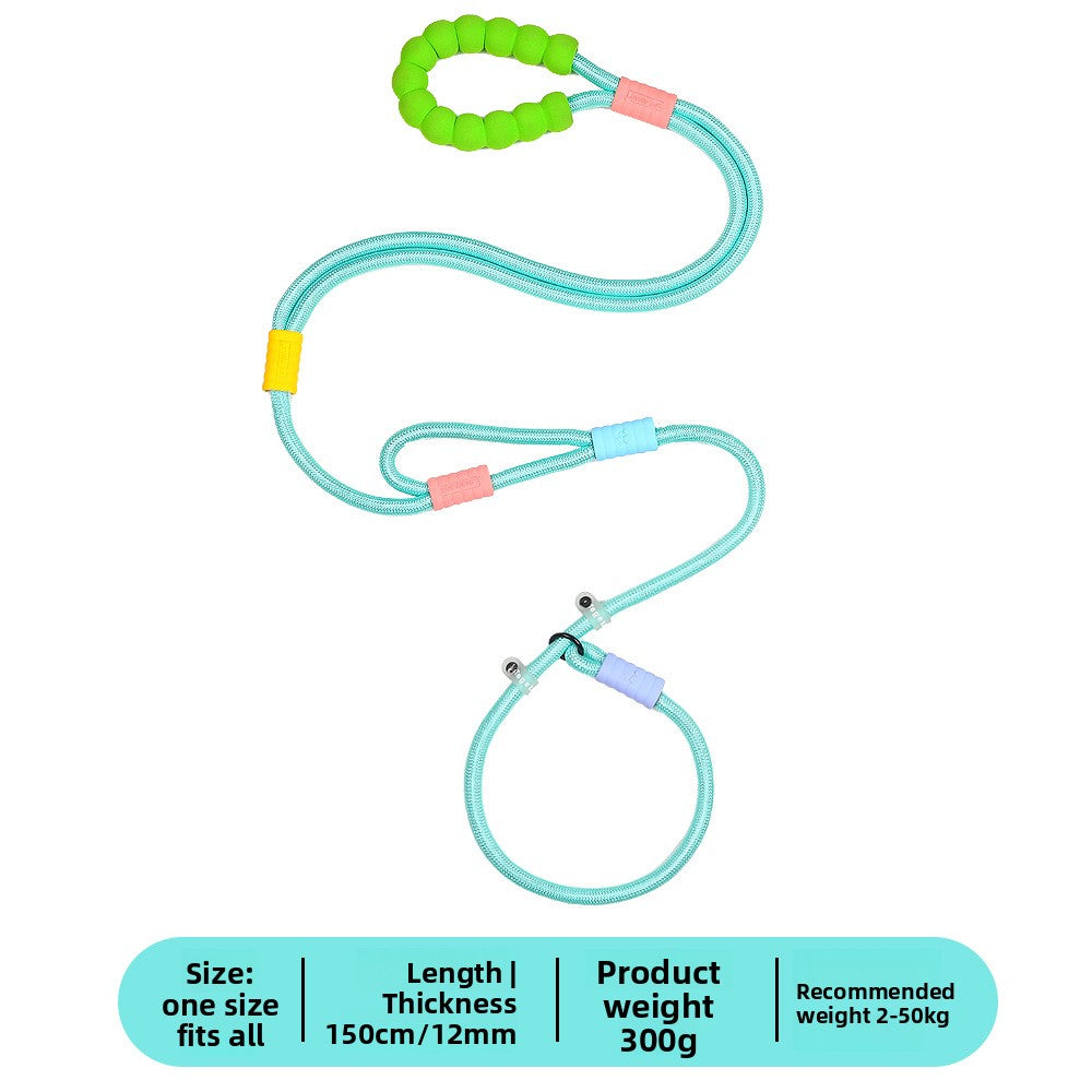 Bright nylon dog lead in vivid colour, product image 28