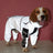 Reflective hooded dog raincoat in silver fabric in Silver, front view