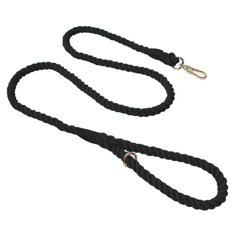 Woven rainbow dog lead with gold coloured clip