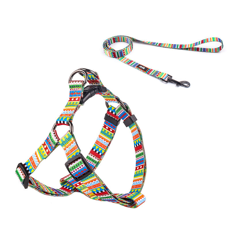 Printed dog collar with star pattern and matching lead