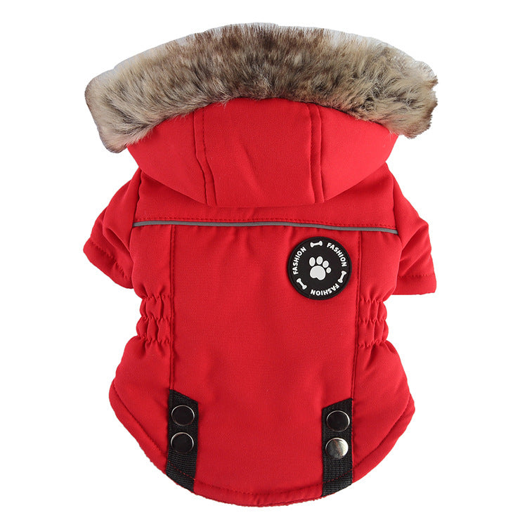 Padded dog chest jacket with zip and reflective straps, in a home setting