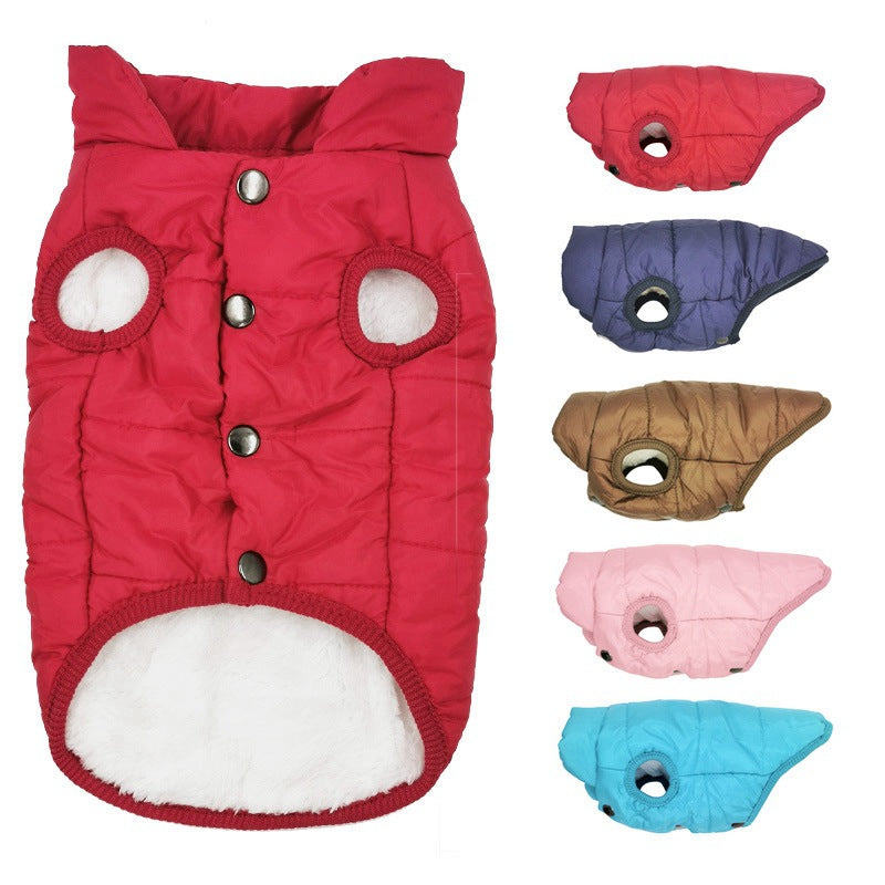 Small dog wearing a bright padded sleeveless gilet
