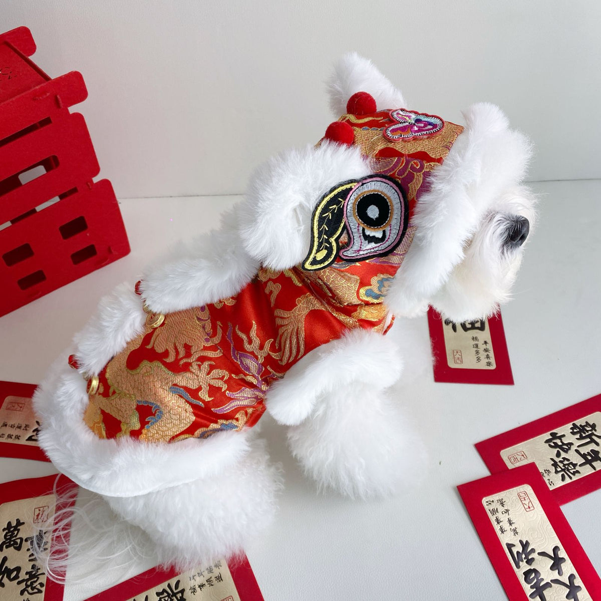 Hooded Tang suit New Year outfit for pets in Floral, front view