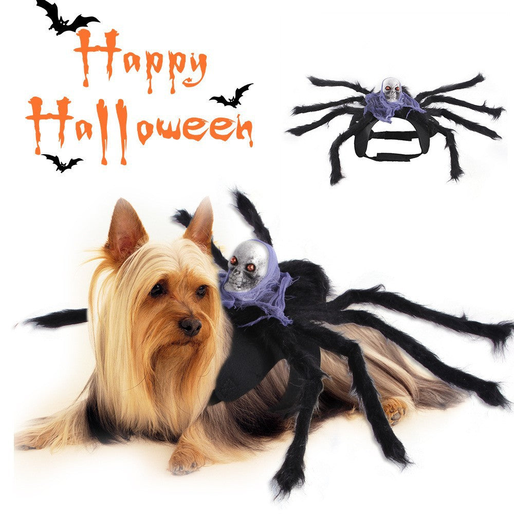 Spider Halloween costume for dogs and cats, available in 5 colours, image 1