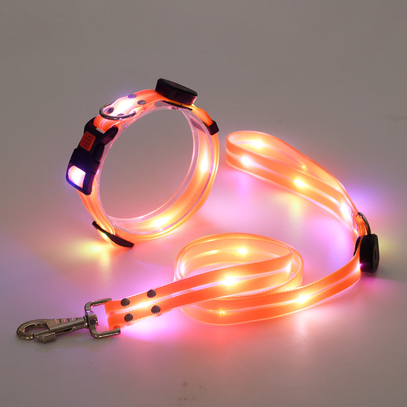 USB rechargeable LED dog collar and lead in Black Lead, material detail