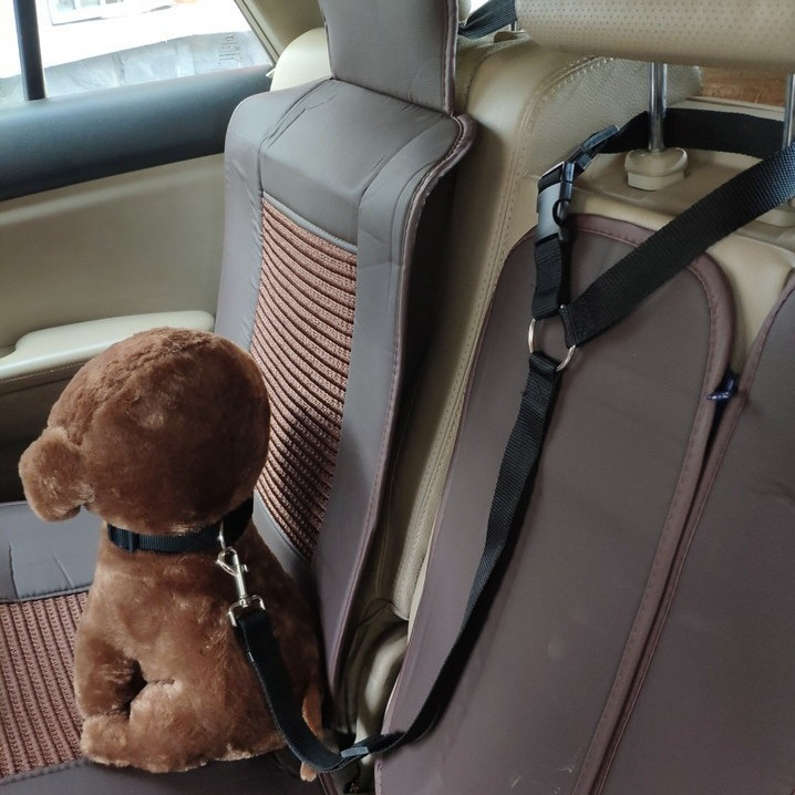 Colourful car safety leads for dogs and cats in nine colours
