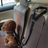 Colourful car safety leads for dogs and cats in nine colours