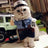 Selection of funny Halloween and Christmas costumes for pets