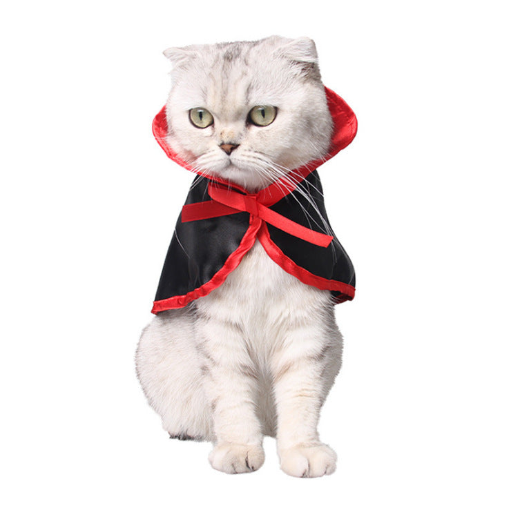 Halloween cape and hat set for cats and small dogs, image 6
