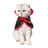 Halloween cape and hat set for cats and small dogs, image 6