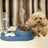 Automatic Pet Food and Water Bowl