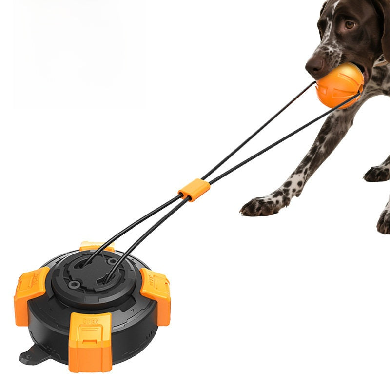 Dog pulling a rope on a floor mounted suction cup chew toy - photo 2